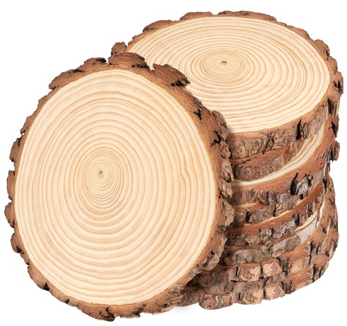 Holzscheiben 15cm - 10,